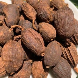 thao-qua-kho-9985