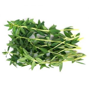 kayang-leaf-ngo-om