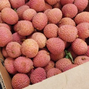 406526606-290447500642305-8372000868636894243-n