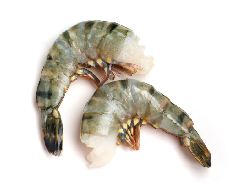 black-tiger Seamaid Black Tiger Shrimp HLSO 16/20 700 gr EZP
