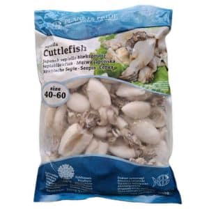 pp-cuttlefish-40-60