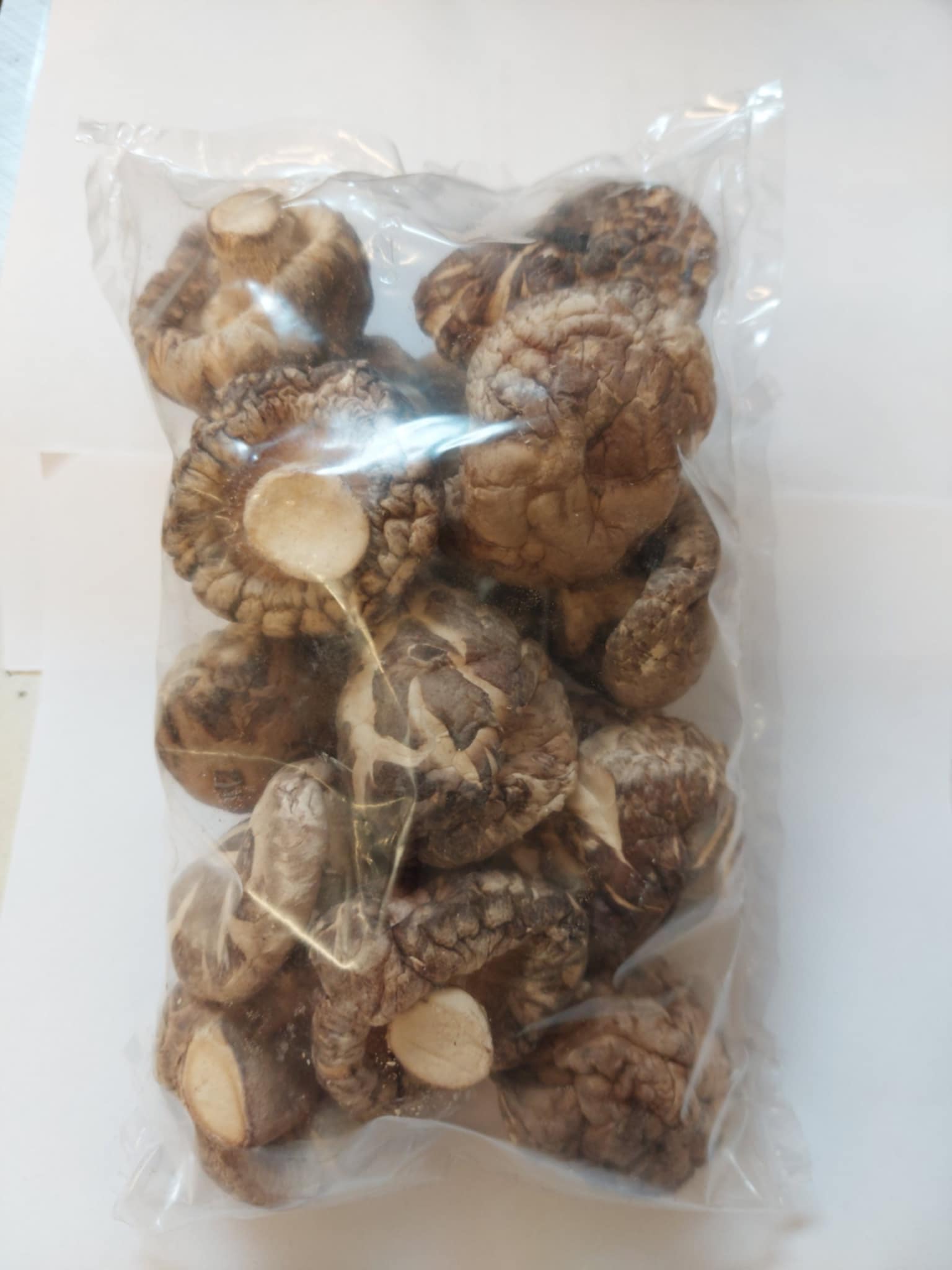 Kina Shiitake Kina Shiitake